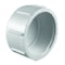 Charlotte Pipe And Foundry Charlotte Pipe Schedule 40 3/4 in. FPT X 3/4 in. D FPT PVC Cap 1 pk PVC 02117 1000 - alternate 1